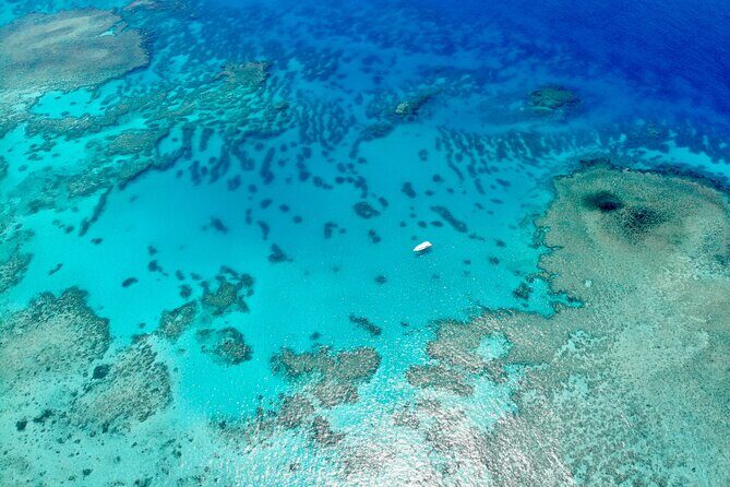 ABC Snorkel Charters Port Douglas Snorkelling max 12 passengers - Final thoughts