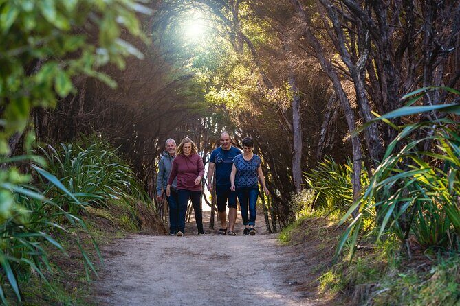 Abel Tasman Heli-Hike - The Itinerary: What Makes Each Part Special?