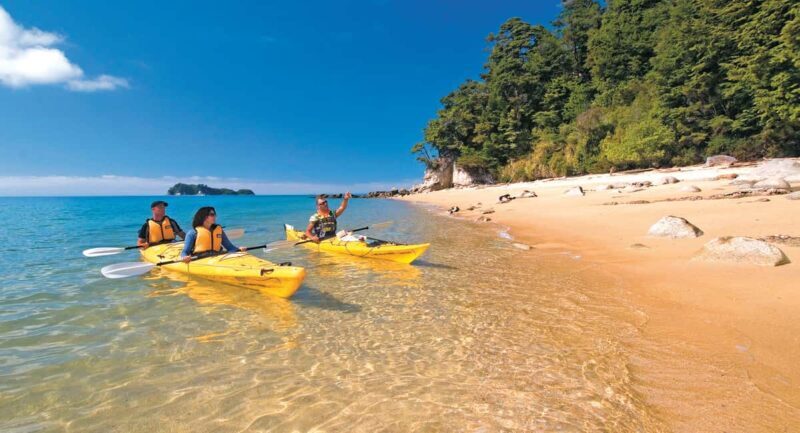 Abel Tasman Kayaks: 1 Day Freedom Kayak Rental - Who Should Consider This Experience?