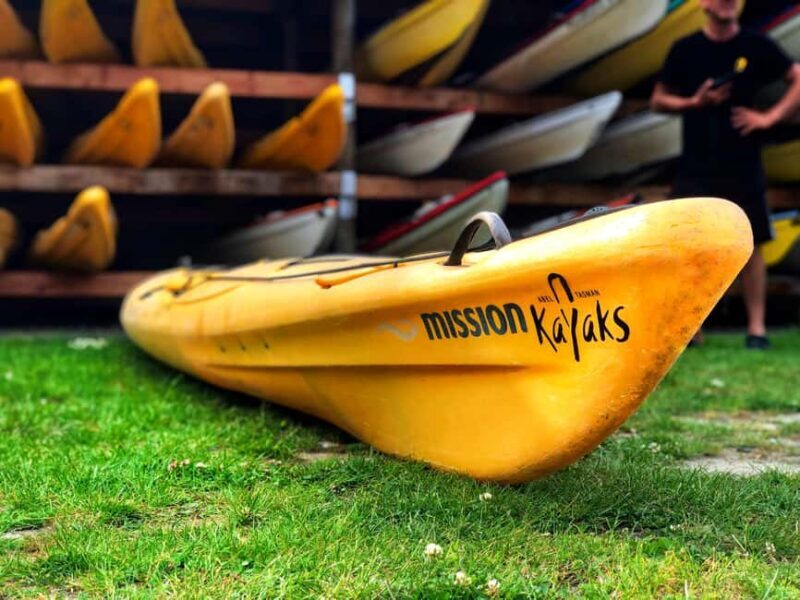 Abel Tasman Kayaks: 3 Day Kayak and Walk North - Final Thoughts