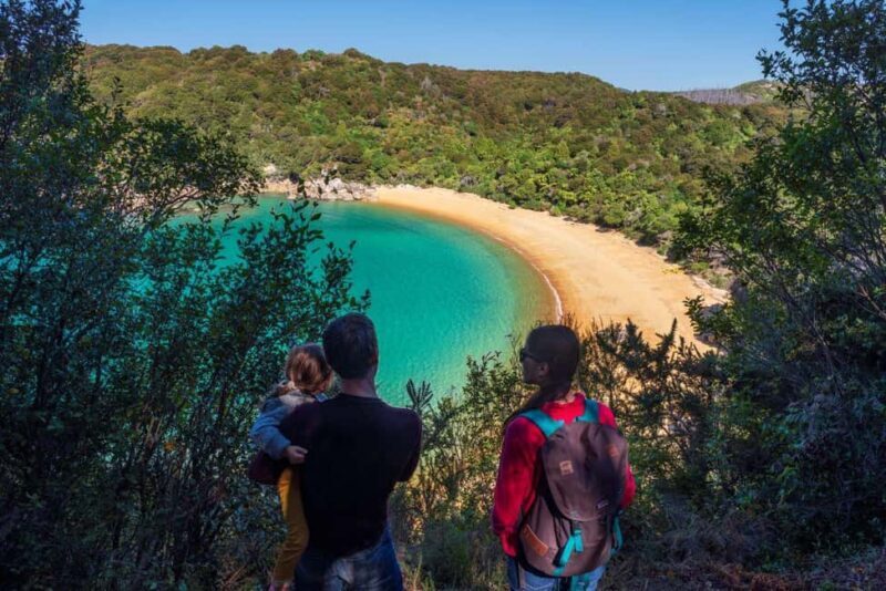 Abel Tasman National Park: Cruise and Hike Full-Day Tour - An Authentic Day in Abel Tasman National Park