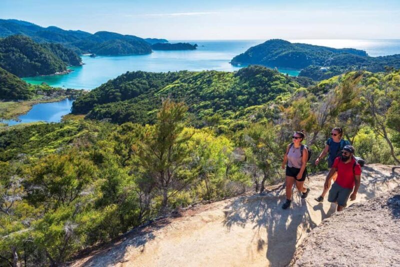 Abel Tasman National Park: Cruise, Kayak, & Hike Tour - Practical Details and Considerations