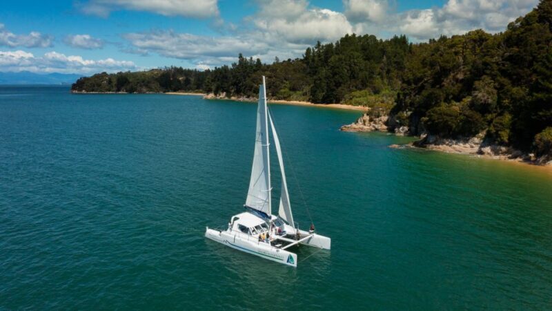 Abel Tasman National Park: Self-Guided Walk & Sailing - Detailed Breakdown of the Experiences Value