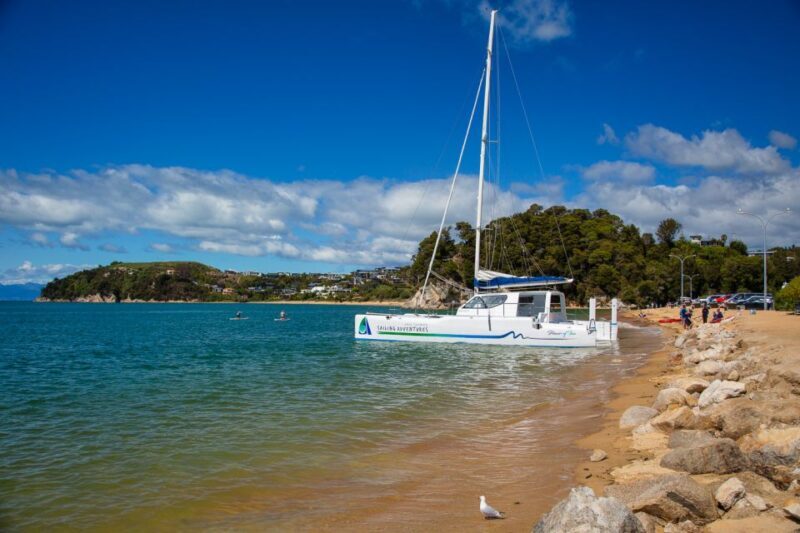 Abel Tasman National Park: Self-Guided Walk & Sailing - The Sum Up