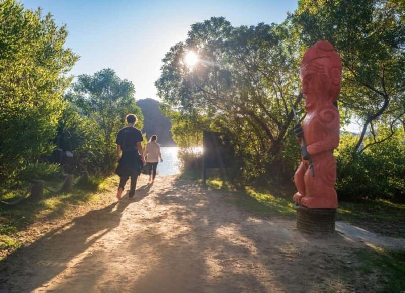 Abel Tasman National Park: Waka & Walk Tour - Why This Tour Offers Great Value