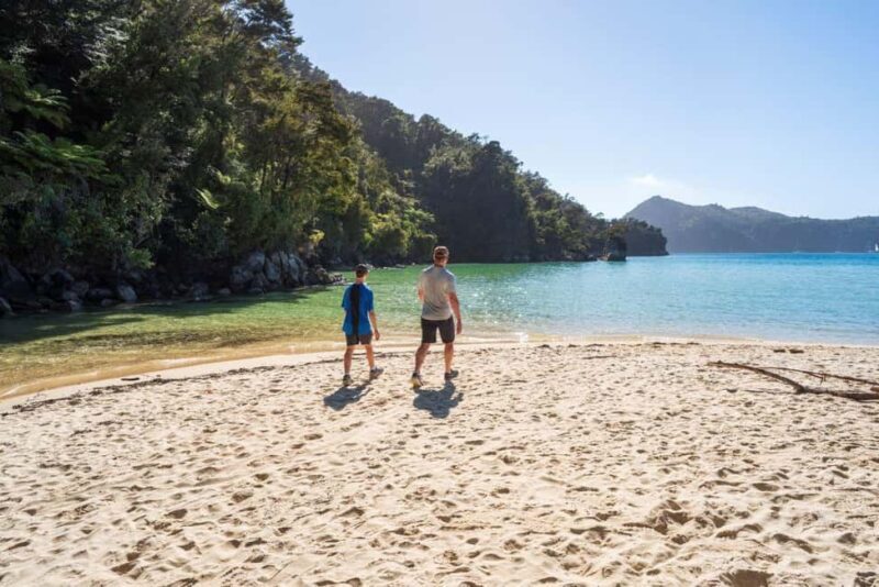Abel Tasman National Park: Waka & Walk Tour - Final Thoughts