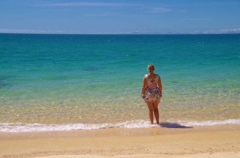 Abel Tasman: Sea Shuttle Cruise and Walking Tour Combo - Introduction