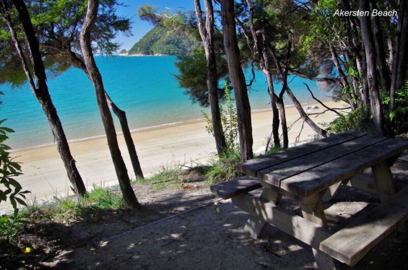 Abel Tasman: Sea Shuttle Cruise and Walking Tour Combo - Practical Details & What to Bring