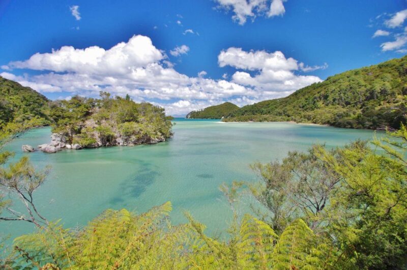 Abel Tasman: Sea Shuttle Cruise and Walking Tour Combo - Review Highlights: Authentic Perspectives