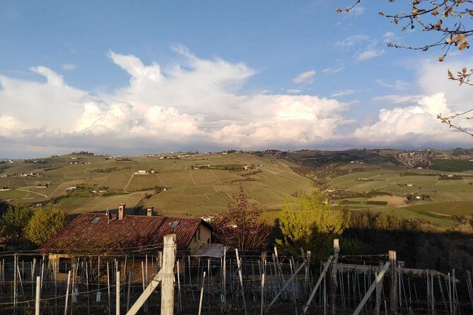 Abellonio Cascina Piccaluga - visit to the vineyards, to the wine tasting cellar - Discover the Charm of Piedmont with a Vineyard Visit at Cascina Piccaluga