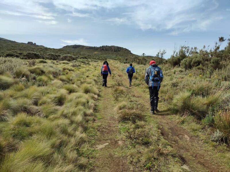 Aberdare Highlands: North to West Trekking Experience - Key Points