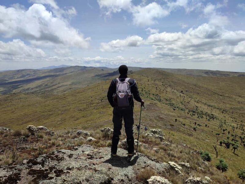 Aberdare Highlands: North to West Trekking Experience - The Itinerary in Detail