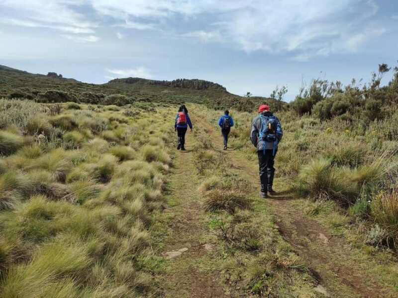 Aberdare Highlands: North to West Trekking Experience - Authentic Insights from Past Participants