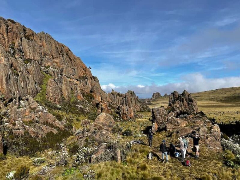 Aberdare Highlands: North to West Trekking Experience - Final Thoughts: Is This Tour for You?