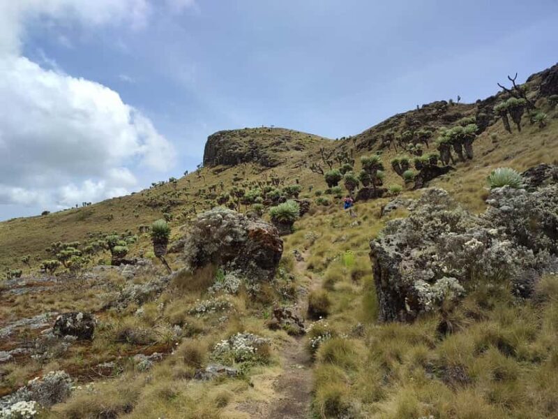 Aberdare Highlands: North to West Trekking Experience - FAQ