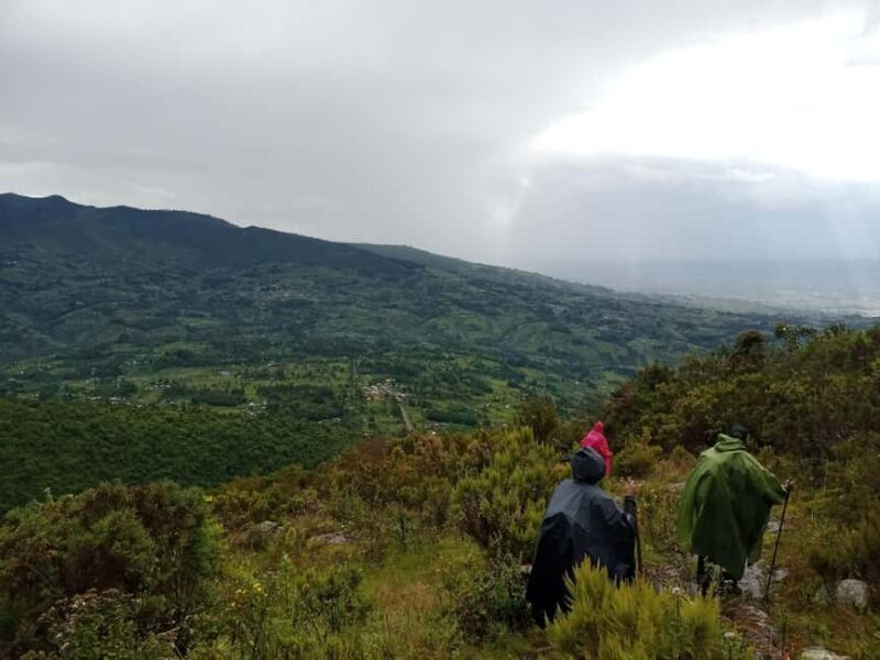 Aberdare National Park: 3-Day Guided Hiking Tour - An In-Depth Look at the 3-Day Aberdare Tour