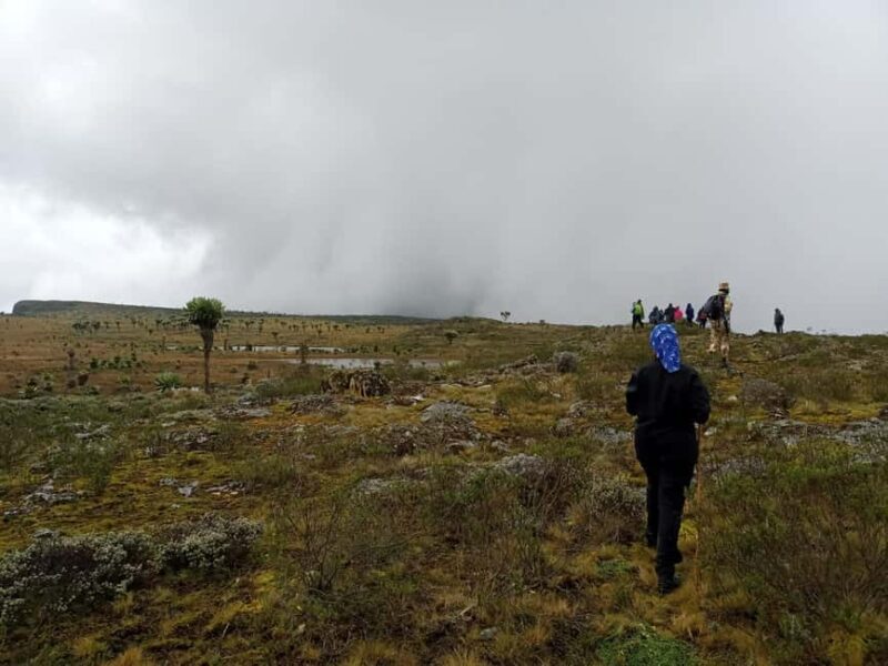 Aberdare National Park: 3-Day Guided Hiking Tour - FAQs