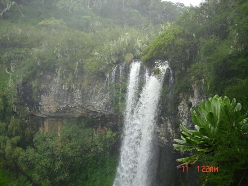 Aberdare National Park Tour From Nairobi - What Makes This Tour Stand Out