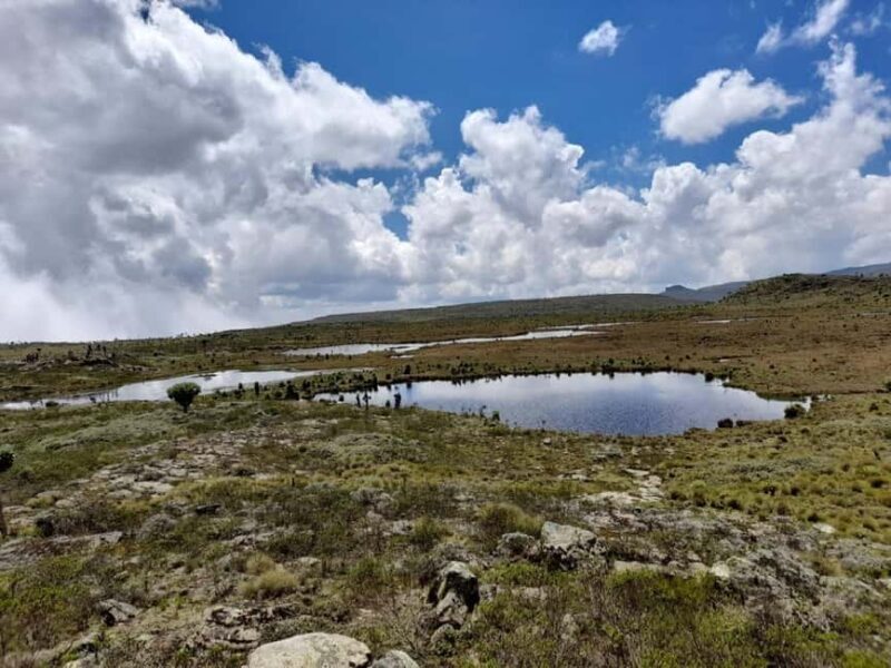 Aberdares: Seven Ponds Guided Hike with Views - Key Points