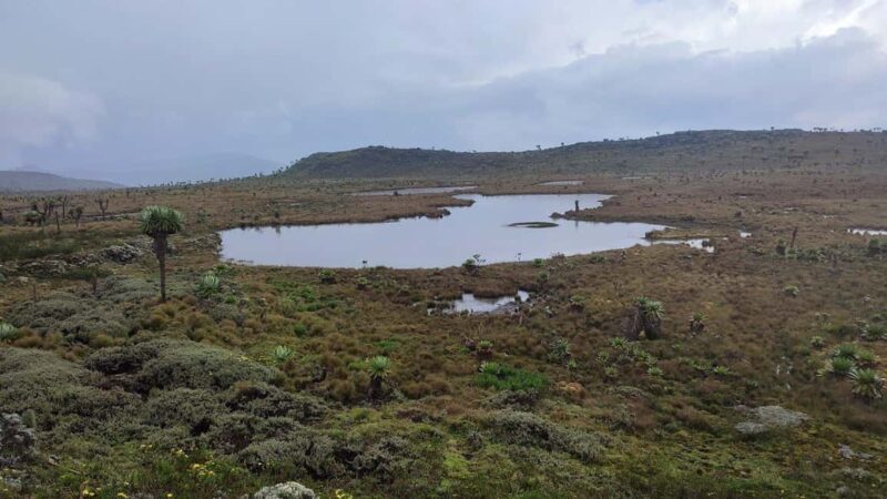 Aberdares: Seven Ponds Guided Hike with Views - What Is the Aberdares Seven Ponds Hike?