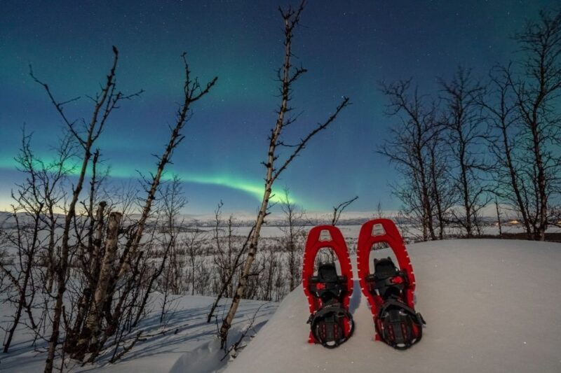 abisko-aurora-snowshoeing