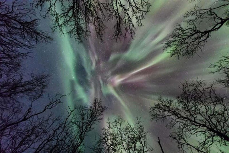 Abisko: Guided Autumn Aurora Chase with Hotel Transfers - An Honest Look at the Aurora Chase Experience