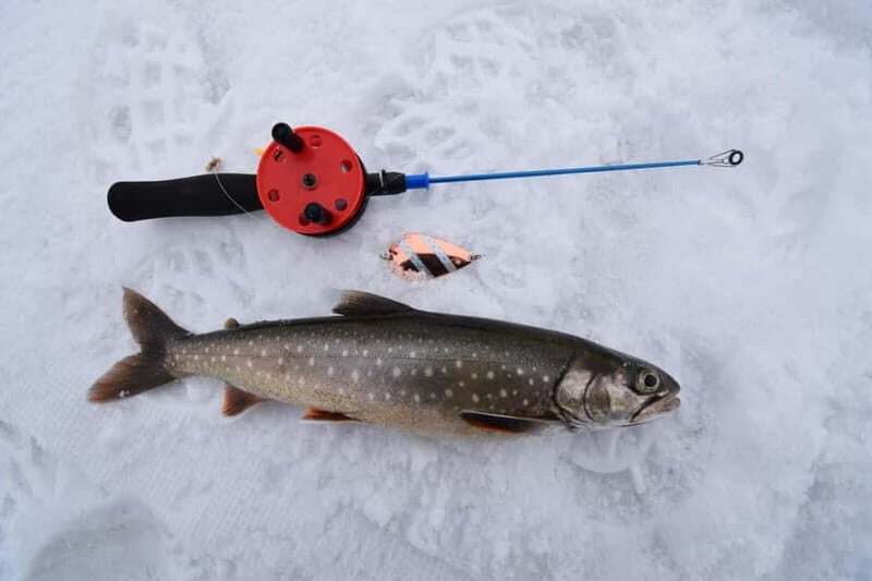 Abisko: Ice Fishing Experience - The Sum Up
