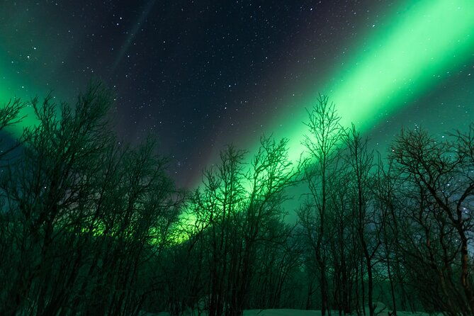 abisko-northern-lights-tour-with-photographer