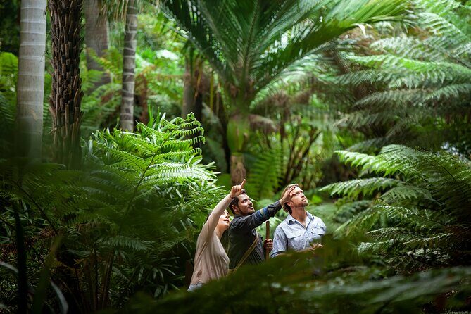 Aboriginal Heritage Walk - Royal Botanic Gardens Victoria, Melbourne Gardens - A Genuine Look at the Aboriginal Heritage Walk in Melbourne