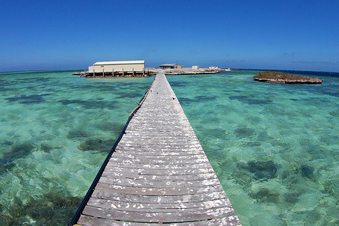 Abrolhos Islands 5 Day Cruise - Who is this cruise best suited for?
