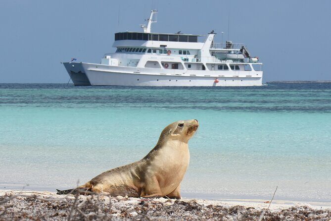 Abrolhos Islands 5 Day Cruise - Practical Considerations