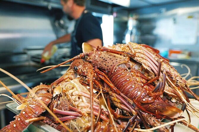 Abrolhos Islands 5 Day Cruise - The Sum Up