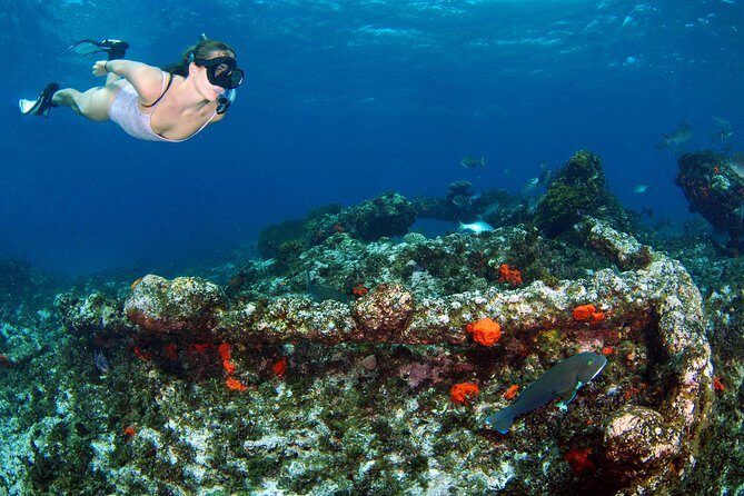 Abrolhos Islands 5 Day Cruise - FAQ