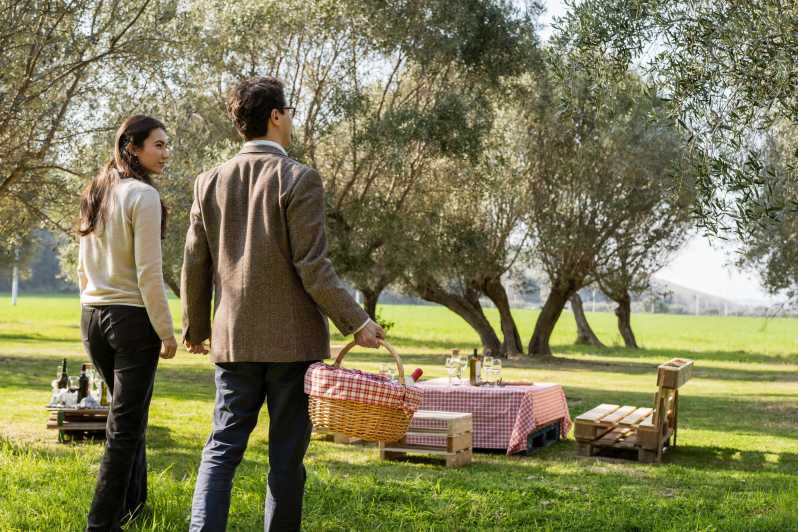 abruzzo-country-picnic-in-an-olive-grove-at-a-winery