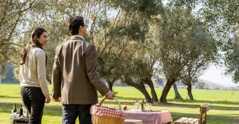 abruzzo-country-picnic-in-an-olive-grove-at-a-winery