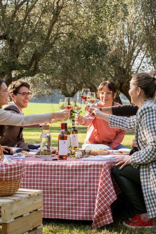 abruzzo-country-picnic-in-an-olive-grove-at-a-winery