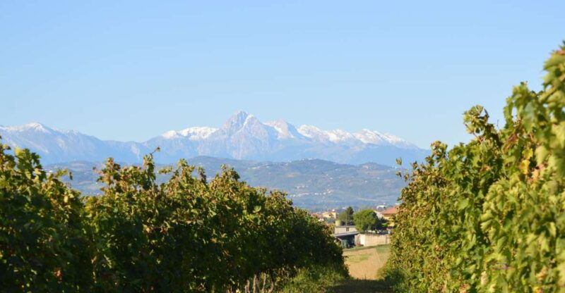 abruzzo-historic-cellar-wine-tour-and-tasting