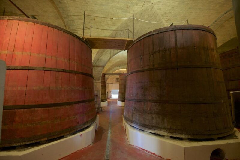 abruzzo-historic-cellar-wine-tour-and-tasting