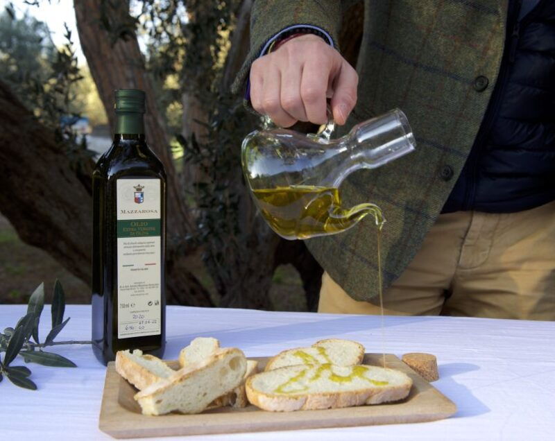 abruzzo-historic-cellar-wine-tour-and-tasting