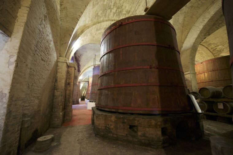 abruzzo-historic-cellar-wine-tour-and-tasting