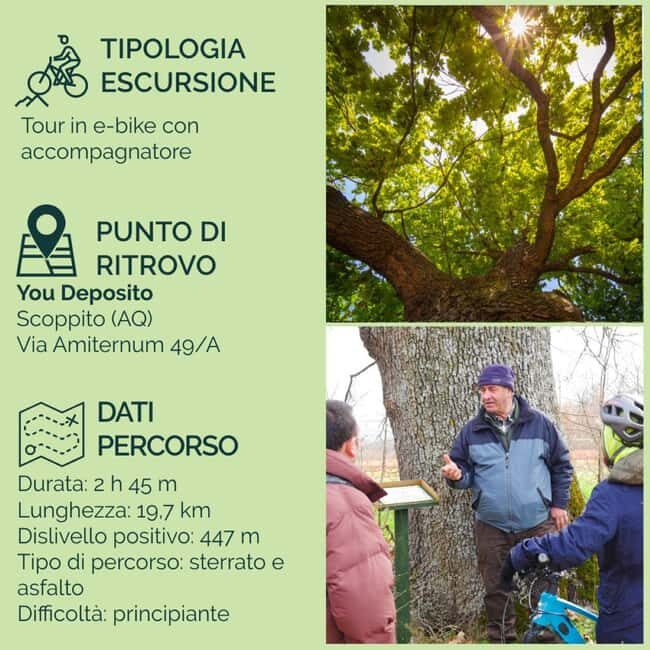 Abruzzo L'Aquila: e-bike tour in the shade of centuries-old oak trees - In-Depth Look at the Itinerary