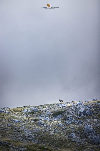 abruzzo-lazio-and-molise-national-park-trekkingwildlife