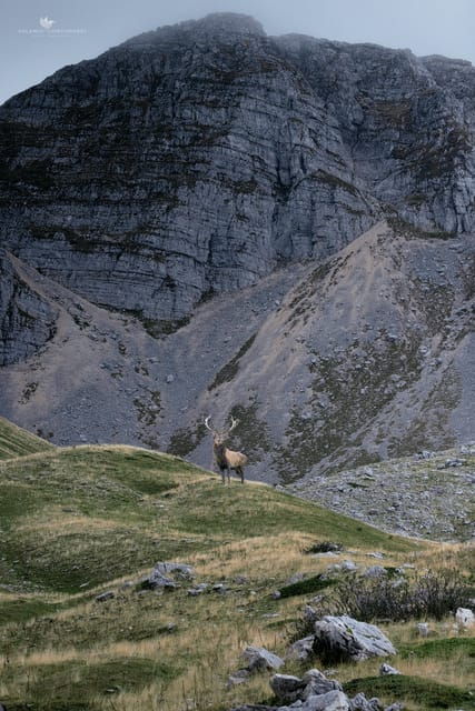 abruzzo-lazio-and-molise-national-park-trekkingwildlife