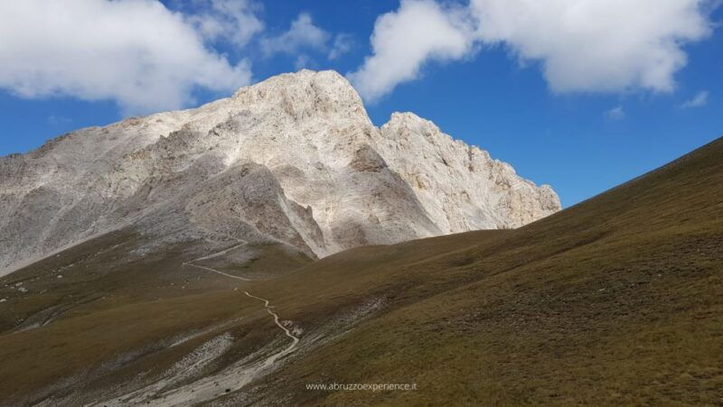 abruzzo-of-ladyhawke-summer-version