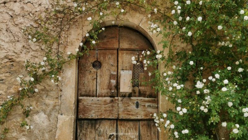 abruzzo-of-ladyhawke-summer-version