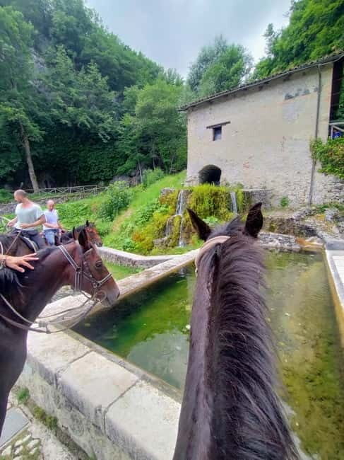 Abruzzo: Simbruini National Park Horseback Daily Adventure - Exploring the Abruzzo: Simbruini National Park Horseback Daily Adventure