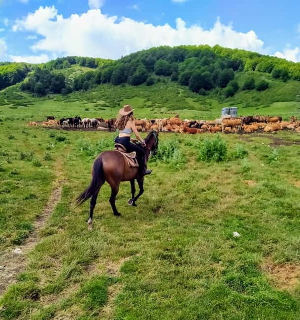 Abruzzo: Simbruini National Park Horseback Daily Adventure - Why We Think It’s a Great Choice
