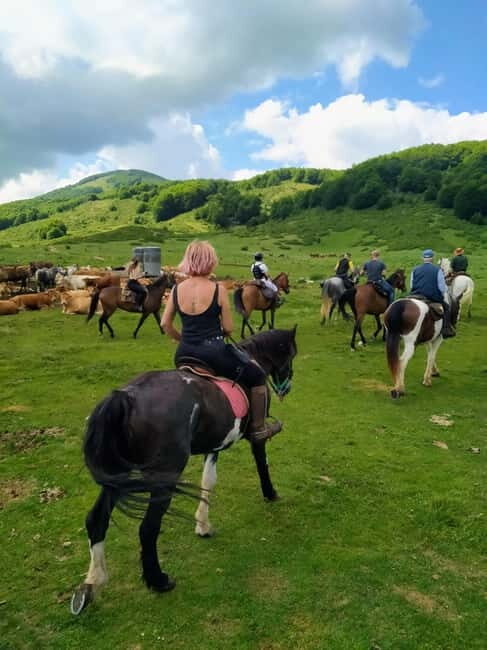 Abruzzo: Simbruini National Park Horseback Daily Adventure - Who Will Love This Tour?