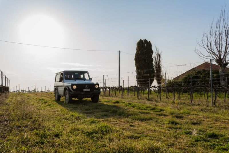 abruzzo-vineyard-jeep-tour-with-tastings