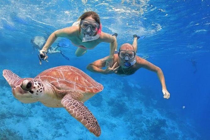 Abu Dabab Swim with Turtles Private tour - The Sum Up